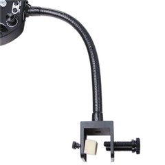 Products tagged with Kessil Mini A Series Gooseneck