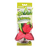 Marina Naturals Red & Green Pickerel Silk Plant - Medium - 9 - 10in (23 - 25.5 cm)