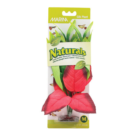 Marina Naturals Red & Green Pickerel Silk Plant - Medium - 9 - 10in (23 - 25.5 cm)