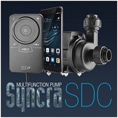 Sicce