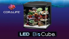 Coralife Biocubes