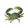 Emerald Crab Green