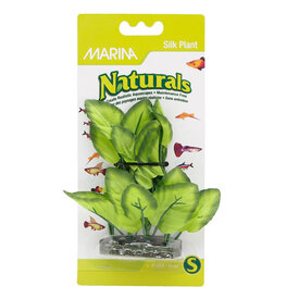  Marina Ntl Green Foreground Silk Plant