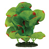 Marina Green Moneywort Silk Plant