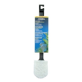 Marina Marina Economy Algae Scrub