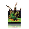UNS Ultra Clear Rimless Tank All-in-One 30A