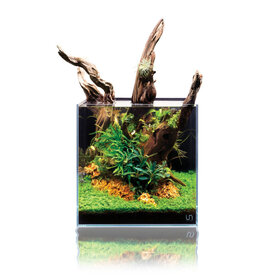 Ultum Nature Systems UNS Ultra Clear Rimless Tank All-in-One 30A