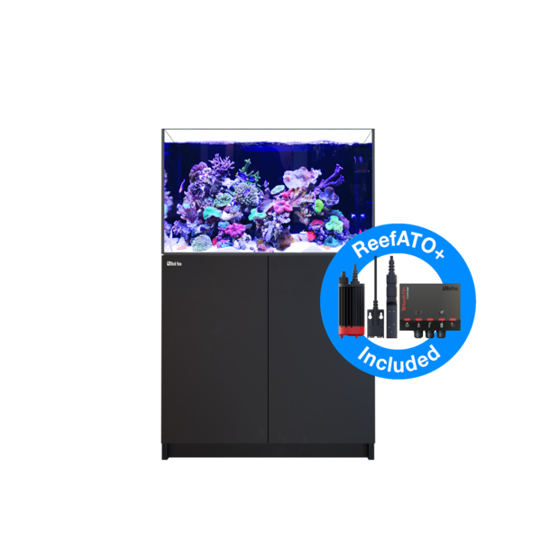 Red Sea Red Sea Reefer G2+ XL300 (65 Gallon)