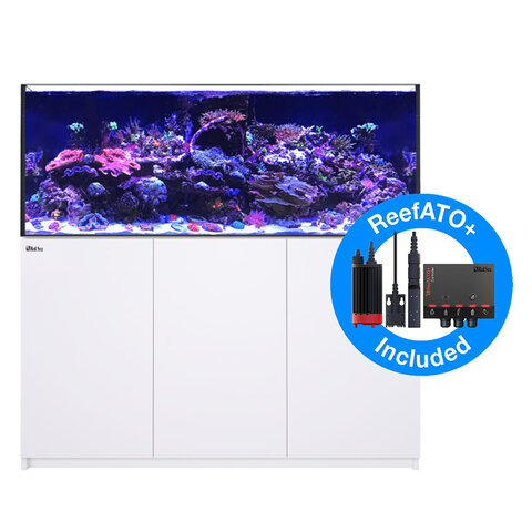 Red Sea Reefer G2+ XXL 625 (131 Gallon) Black
