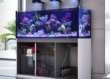 Red Sea Aquariums