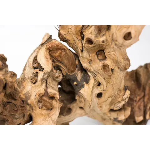 Amazon Driftwood/lb