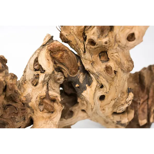 Amazon Driftwood/lb