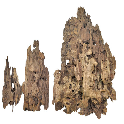 Dragon Wood /lb