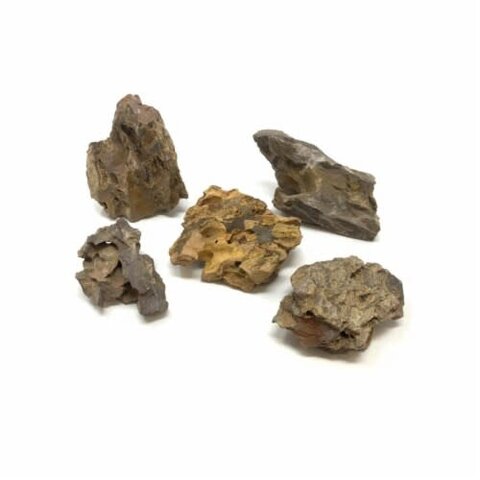 Dragon Stone Accent Pieces