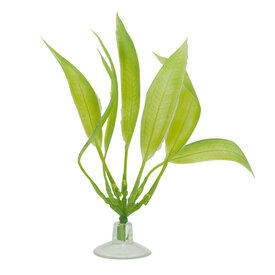  Marina Amazon Sword Plant w/suction cup 5"