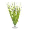 Marina Hairgrass w/suction cup 5"