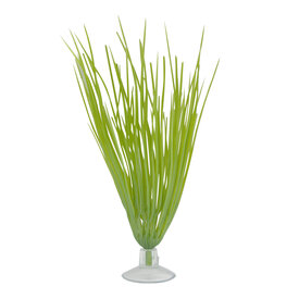  Marina Hairgrass w/suction cup 5"