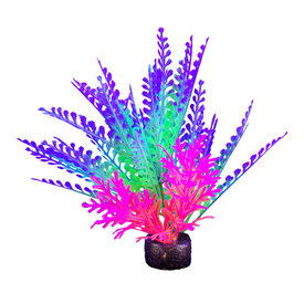 Marina iGlo Plant 5.5" Ppl-Grn-Pk