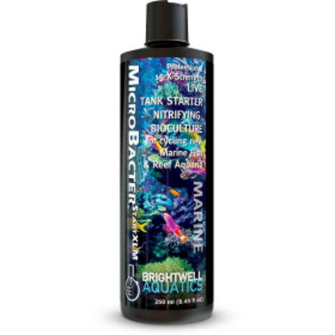 Brightwell Aquatics Microbacter Start XLM 250 ml