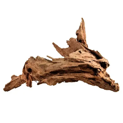 Malaysian Driftwood Large