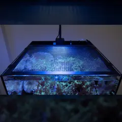 Waterbox