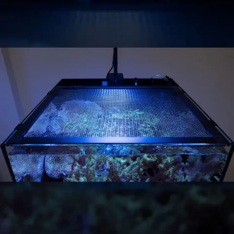 Waterbox Mesh Lid for Cube 20