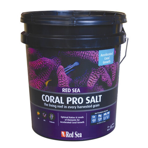 Red Sea Coral Pro Salt 175G Bucket