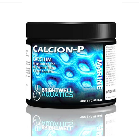 Brightwell Calcion-P Calcium Powder Supplement 400 g