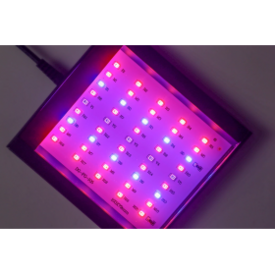 Neptune Systems Reef Casa Nova Refugium LED