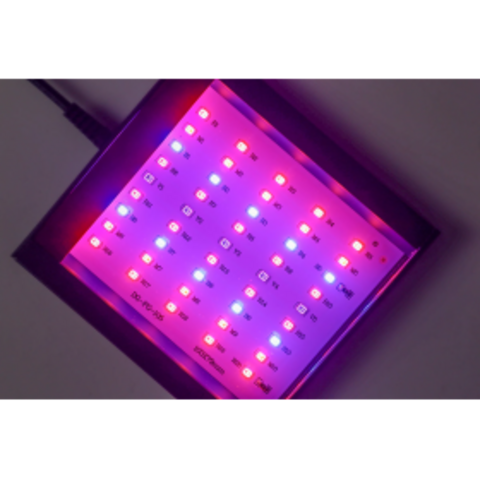Reef Casa Nova Refugium LED