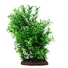 Fluval Aqualife Helzine Plant Small 8"