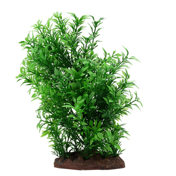 Fluval Fluval Aqualife Helzine Plant Small 8"