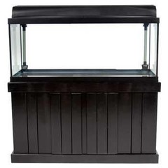 Products tagged with fish tank stand