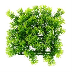 Products tagged with aquarium plant