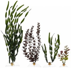 Products tagged with aquarium plants
