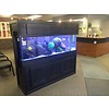 Waiting Room Tank by Aquarium Illusions