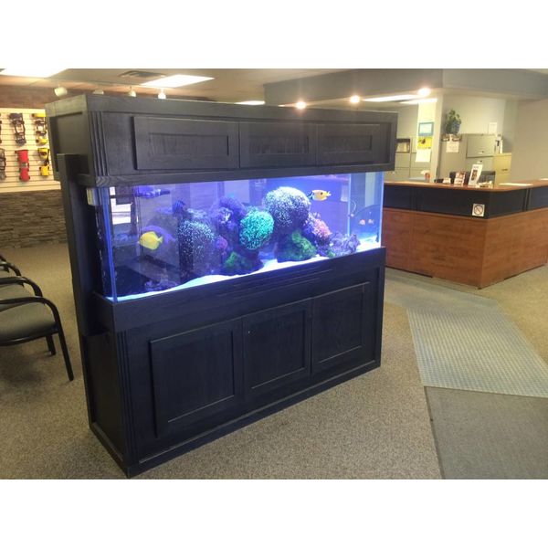  Waiting Room Tank by Aquarium Illusions