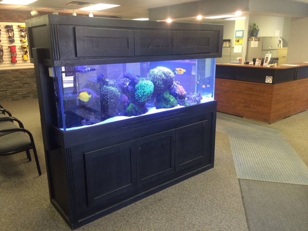 Waiting Room Tank by Aquarium Illusions Aquarium Illusions Inc 17211