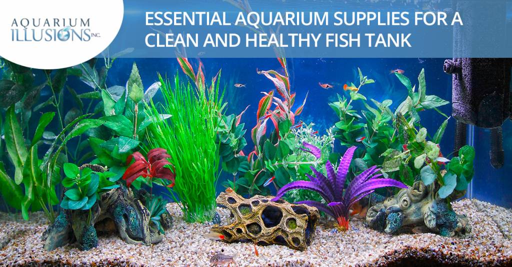 Aquarium Supplies: Essential Aquarium Supplies For A Clean And Healthy Fish  Tank