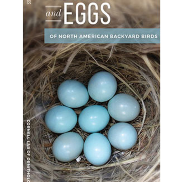 Cornell Nests And Eggs Of North American Backyard Birds Folding