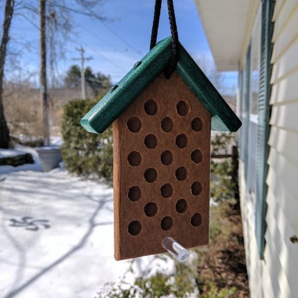 Hilltop Small Recycled Peanut Butter Feeder The Bird Store And More