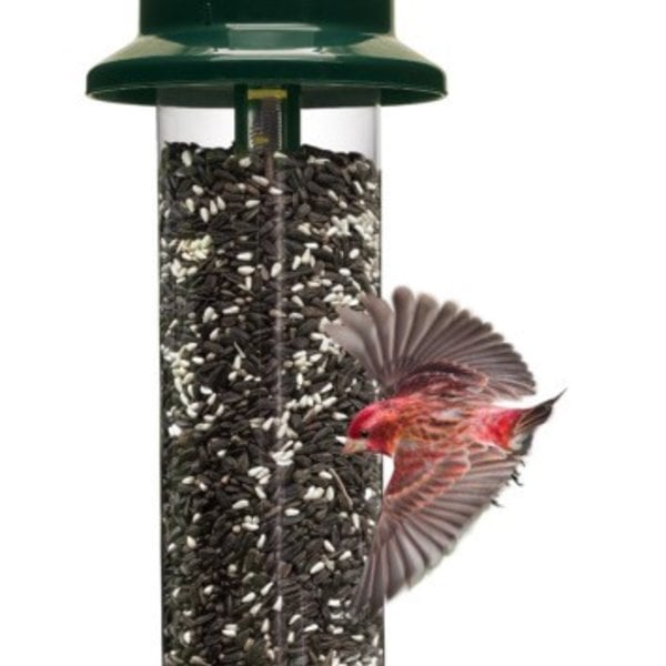 Brome Squirrel Buster Plus Feeder The Bird Store And More