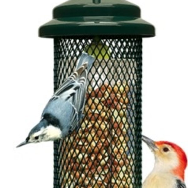 Brome Squirrel Buster Peanut Feeder The Bird Store And More