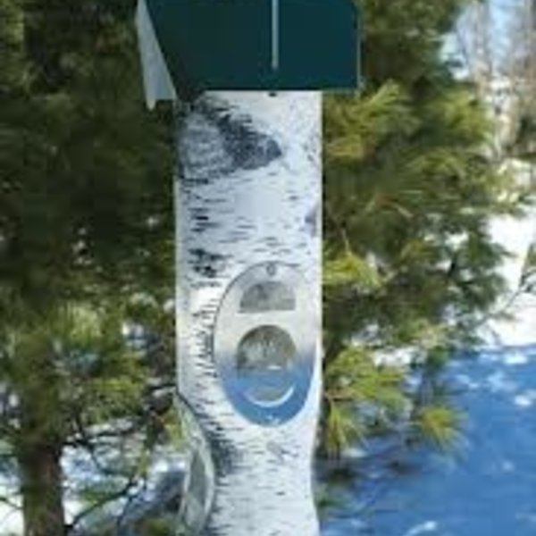 Vari Crafts Birch Log Mixed Seed Feeder The Bird Store And More