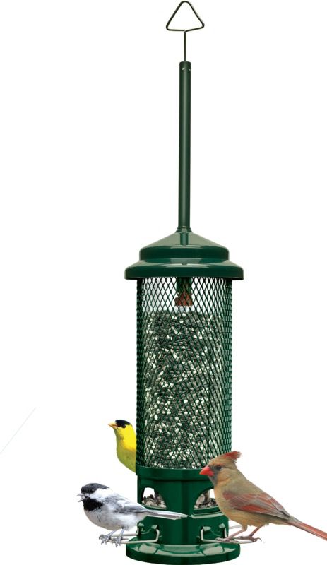 Brome Squirrel Buster Legacy Feeder The Bird Store And More