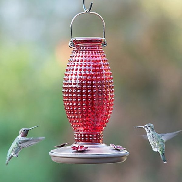 Perky Pet Red Hobnail Hummingbird Feeder The Bird Store And More