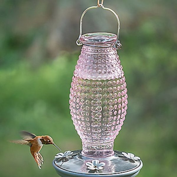 Perky Pet Pink Hobnail Hummingbird Feeder The Bird Store And More