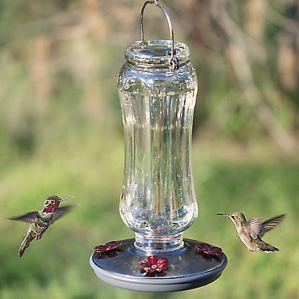 Perky Pet Starglow Vintage Hummingbird Feeder The Bird Store And