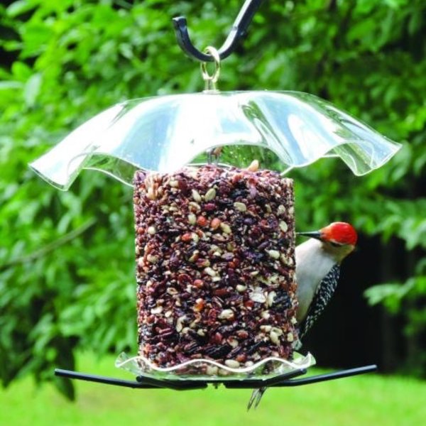 Birds Choice Seed Cylinder Feeder Clear Top Bottom W Perches