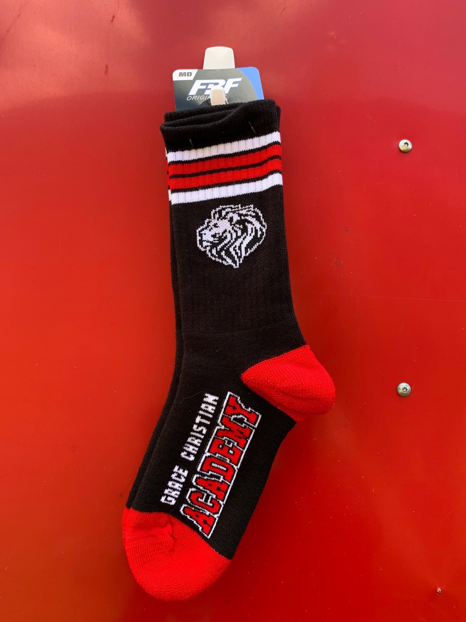 FBF Men's Black Lionhead Socks